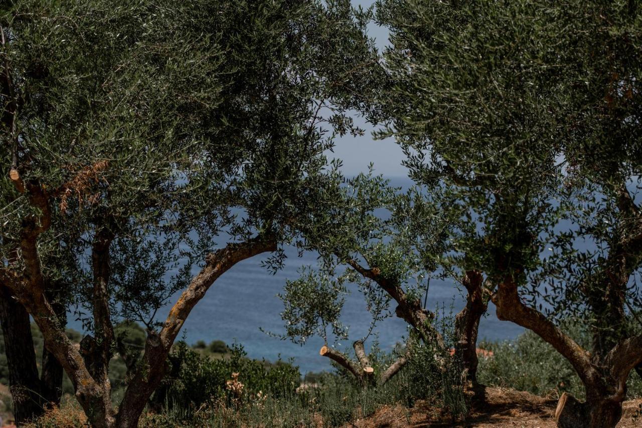 Cossoro Villas Zakynthos Xirokástellon エクステリア 写真